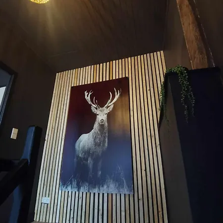 Le Petit Chermont Saint-Hubert Extérieur photo